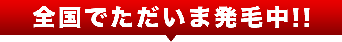 全国でただいま発毛中!!